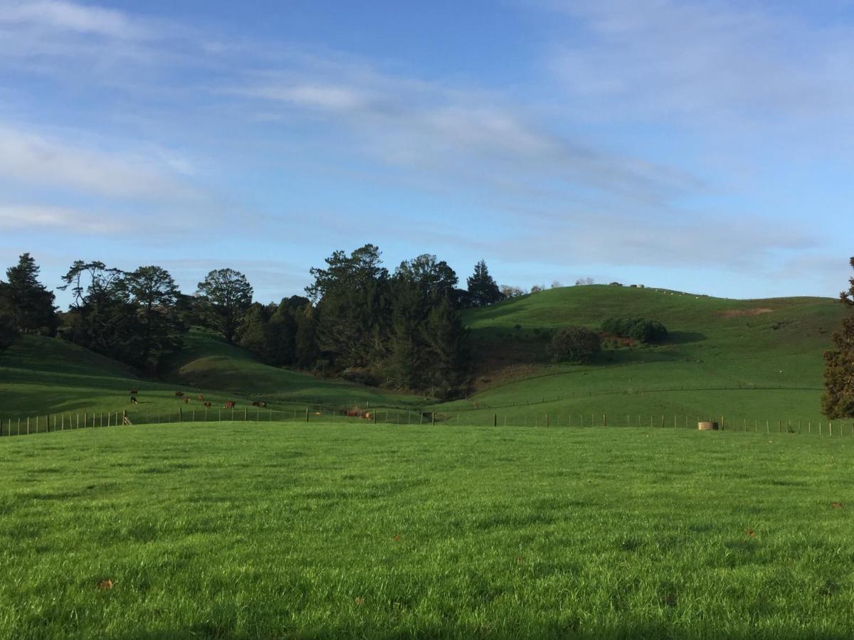 Tuakau Veld View Bed And Breakfast מראה חיצוני תמונה
