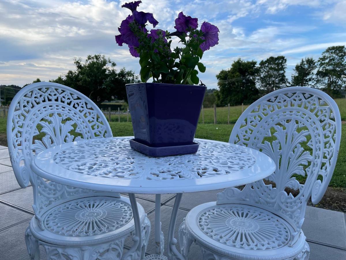 Tuakau Veld View Bed And Breakfast מראה חיצוני תמונה